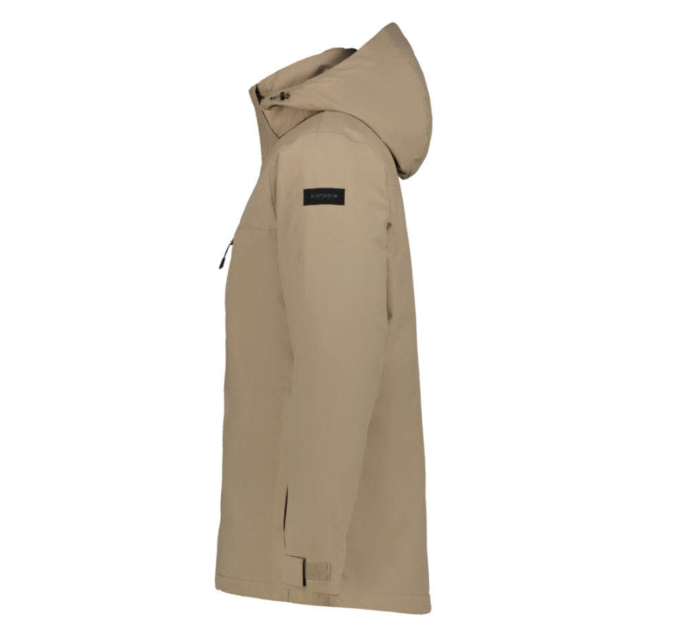 ICEPEAK ALSTON