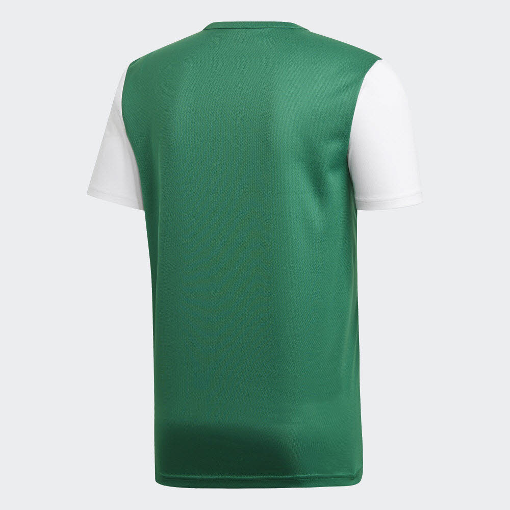 ESTRO 19 JERSEY