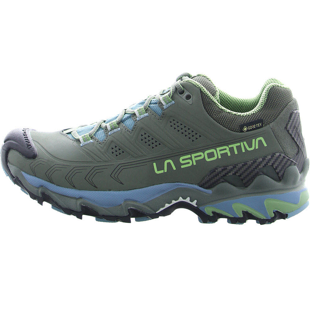 Ultra Raptor II Leather Woman GTX