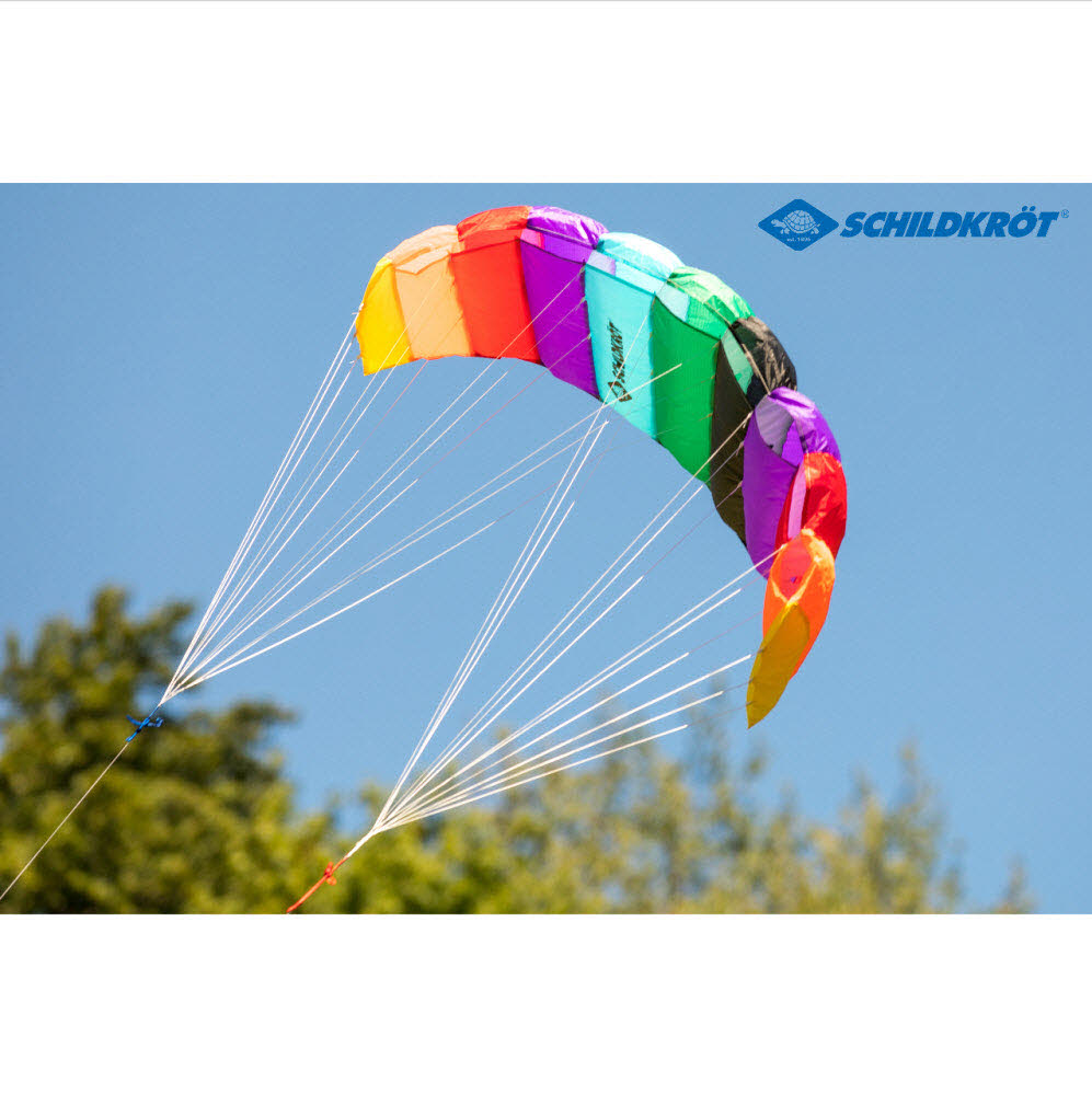Dual Line SPORT KITE 1.3