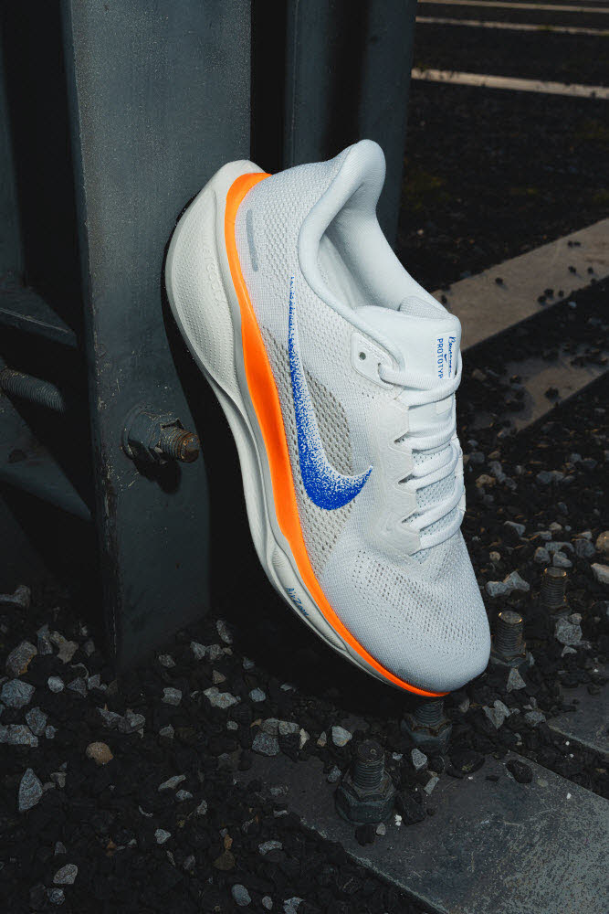 AIR ZOOM PEGASUS 41 FP