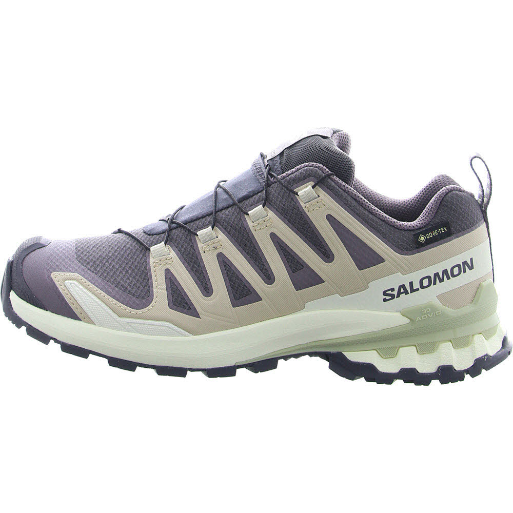 Schuhe XA PRO 3D V9 GTX W 9 Iron/Ox