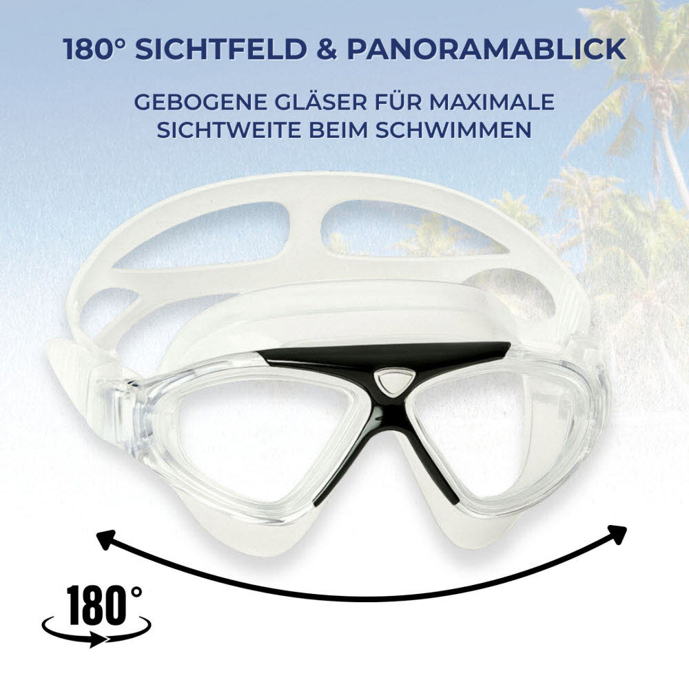 Schwimmbrille JAVA  Adult im Carryb
