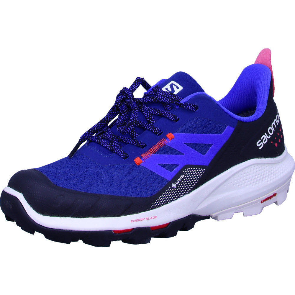 Schuhe OUTpulse GTX Estate Blue/Van