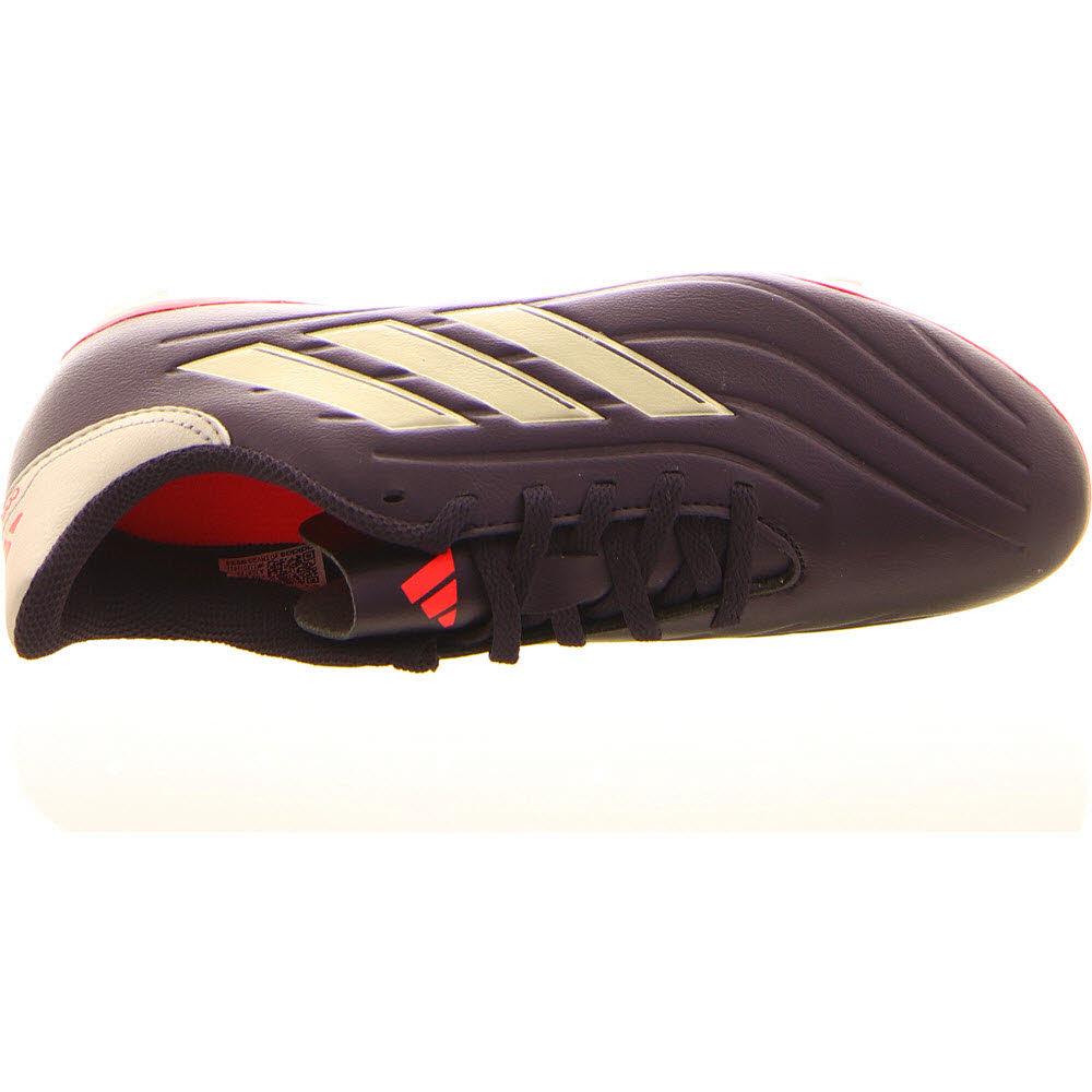COPA PURE 2 CLUB FxG
