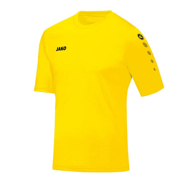 Trikot Team KA H