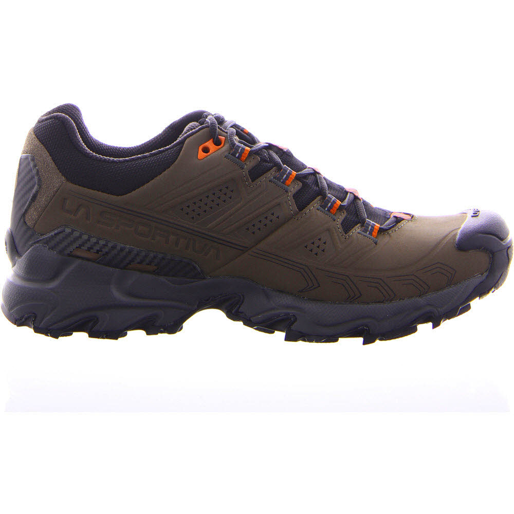 Ultra Raptor II Leather GTX