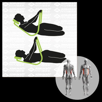 NOS AB-TRAINER CLASSIC - (Bauchtrai