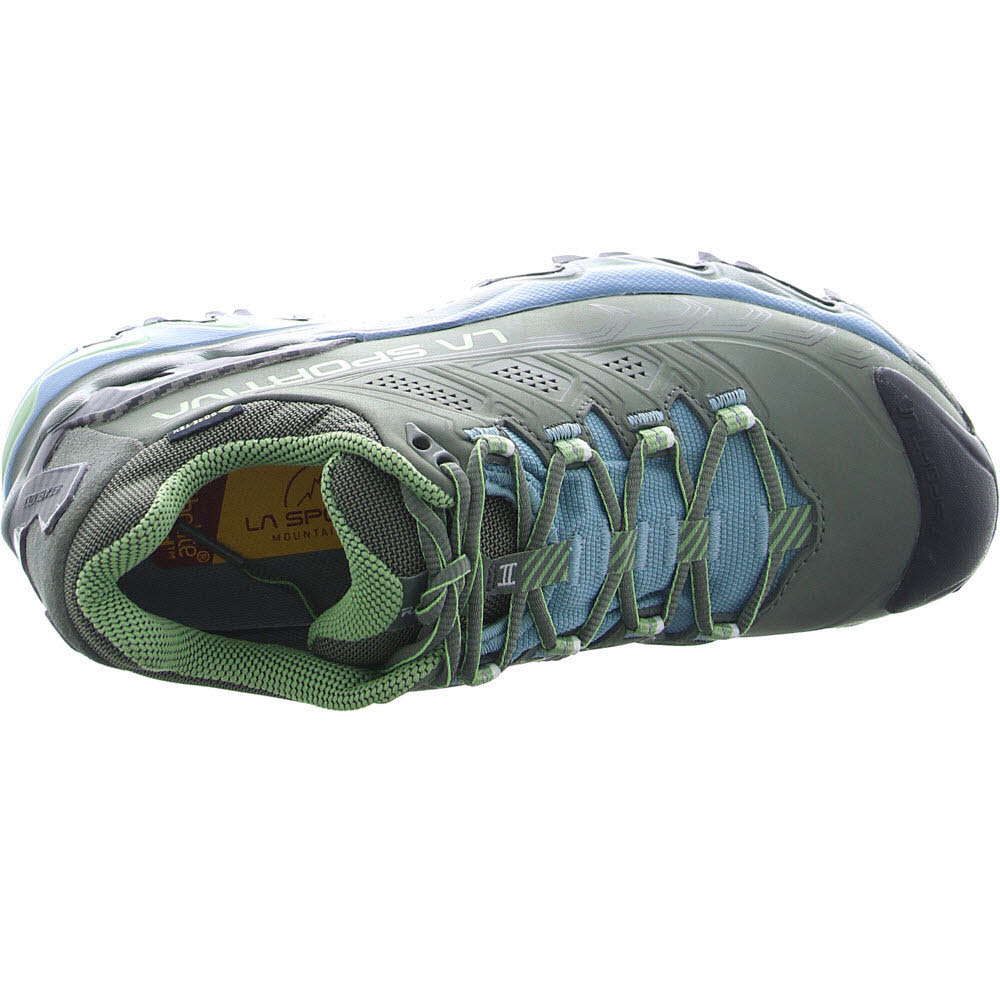 Ultra Raptor II Leather Woman GTX