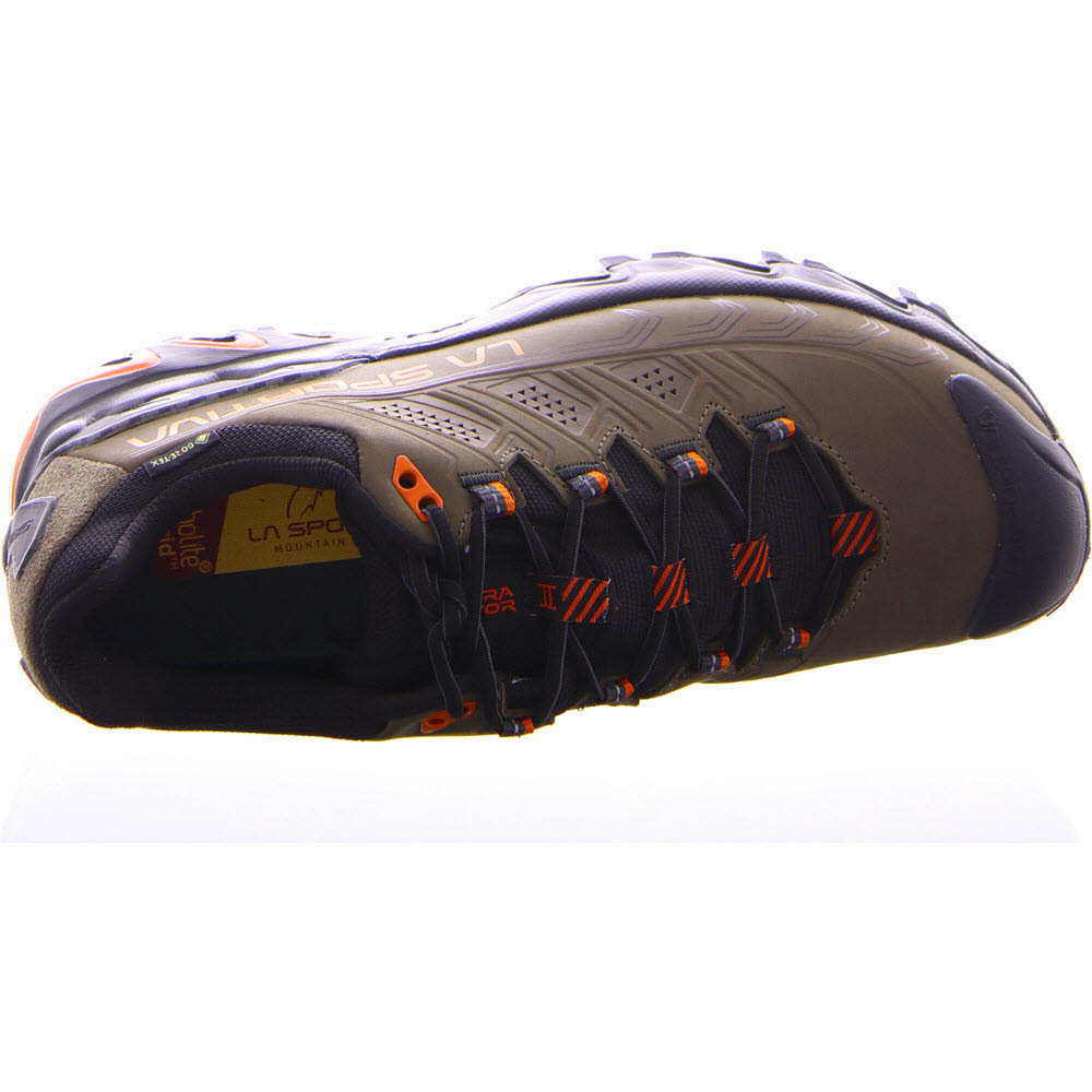 Ultra Raptor II Leather GTX