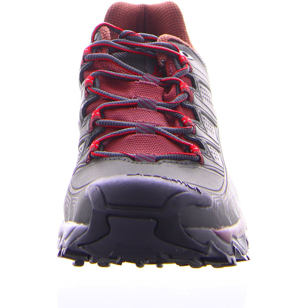 Ultra Raptor II Leather GTX