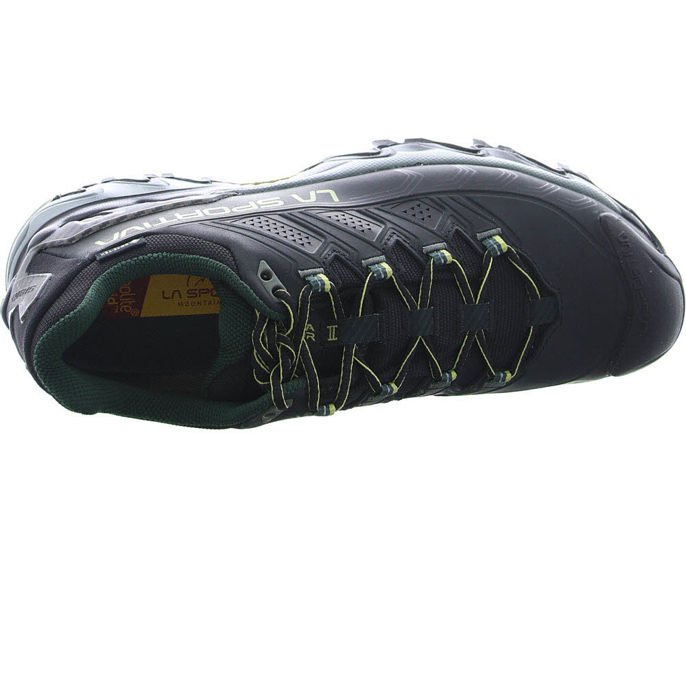 Ultra Raptor II Leather GTX