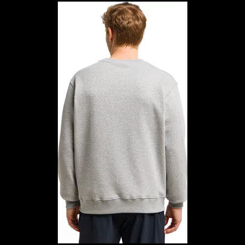 NOS PUSH Men´s crew,grau melie