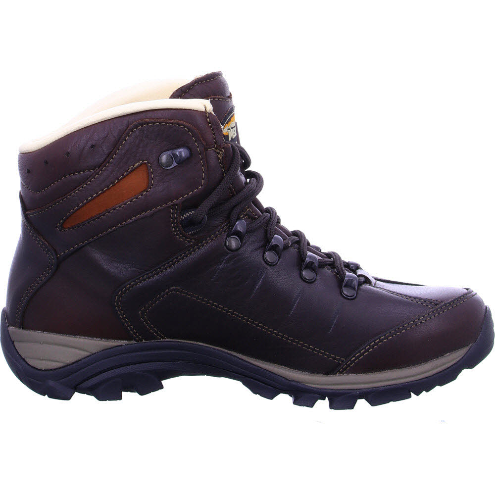 Bergamo Lady Identity 2768 46