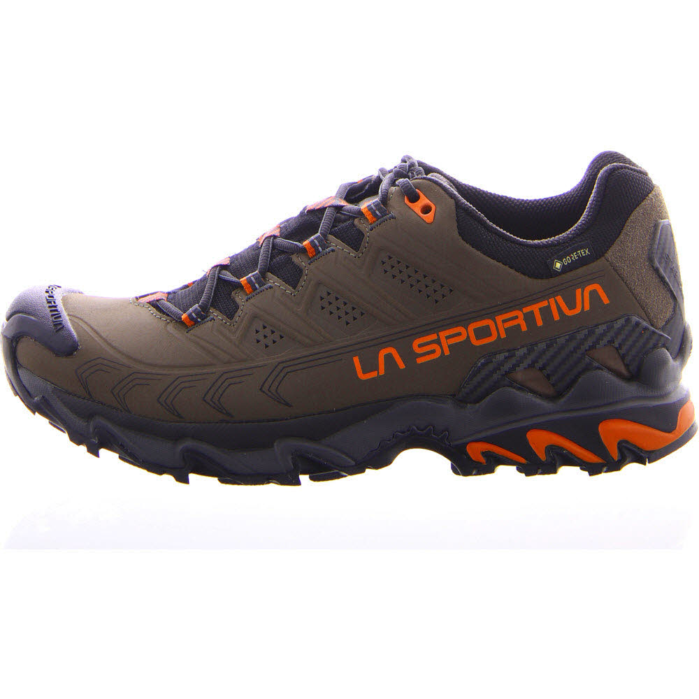 Ultra Raptor II Leather GTX