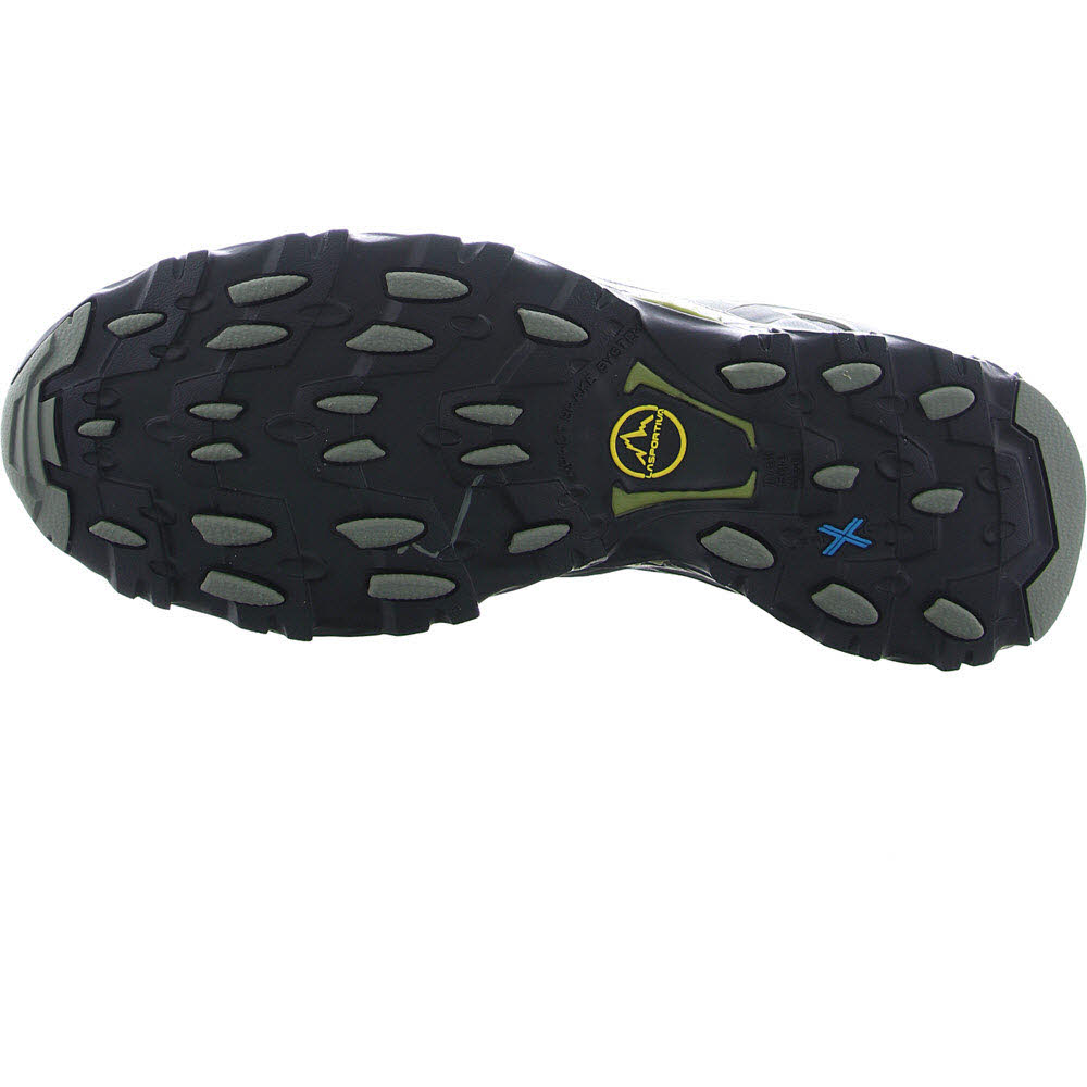 Ultra Raptor II Leather GTX