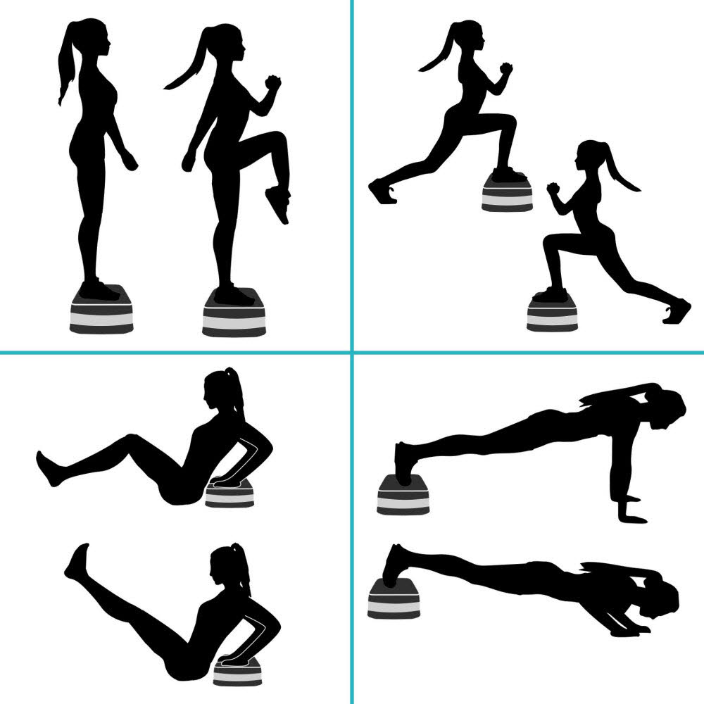 Schildkröt Fitness Stepper