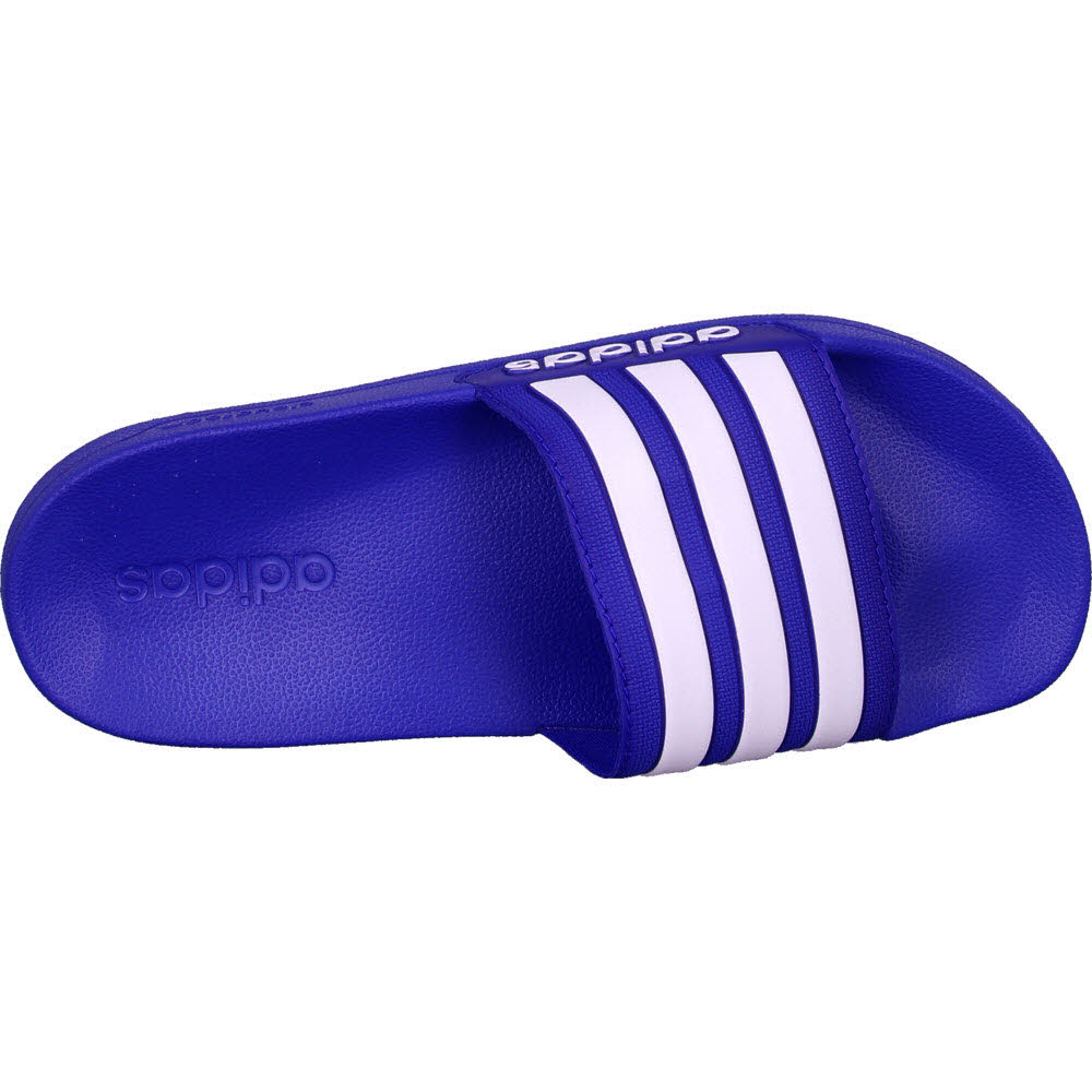 ADILETTE SHOWER,ROYBLU/FTWWHT/ROYBL