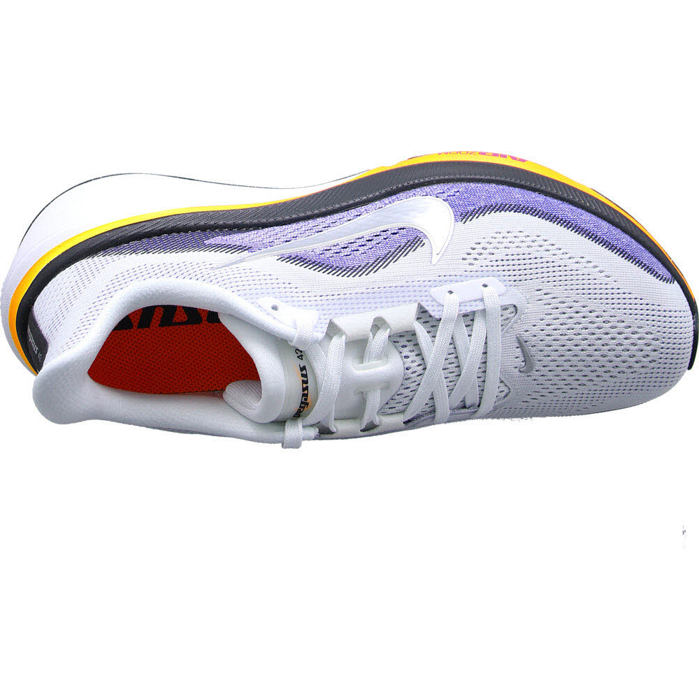 AIR ZOOM PEGASUS 42