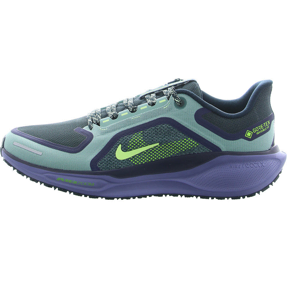 Nike Pegasus 41 GORE-TEX Men"s