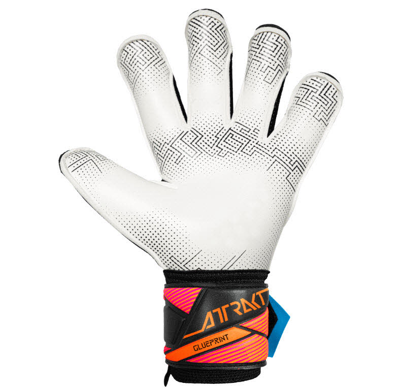 Attrakt Advance Evolution Glueprint