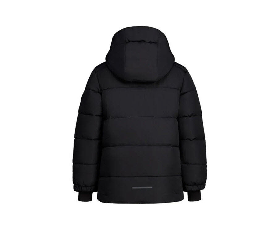 Icepeak Louin Jr