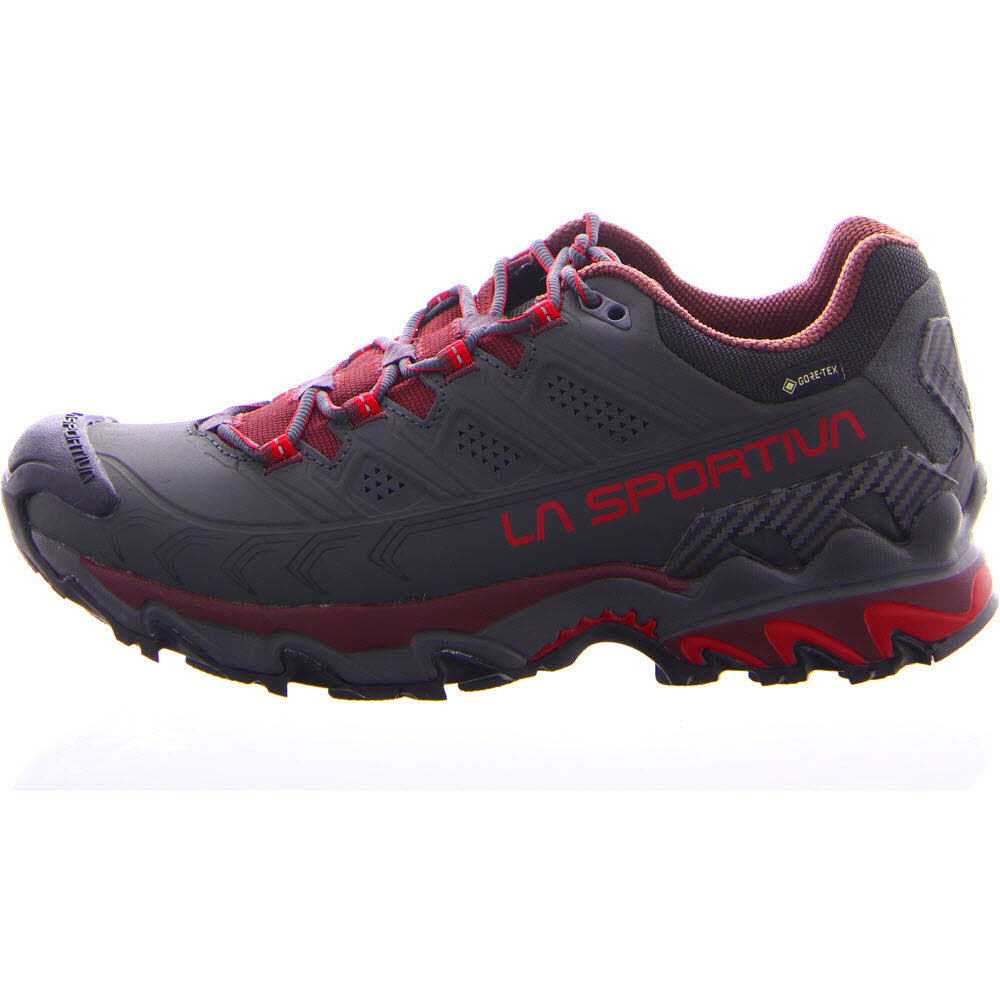 Ultra Raptor II Leather GTX