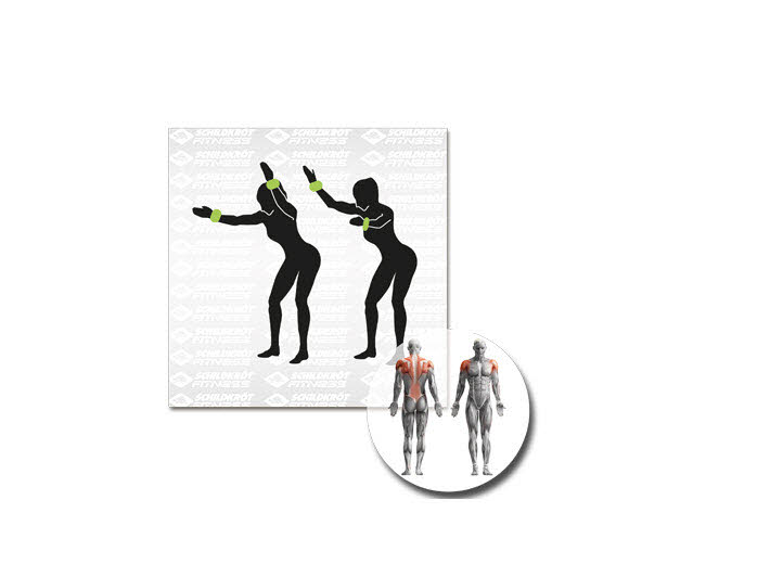 SK Fit GEWICHTSMANSCHETTE, 2X2,0kg