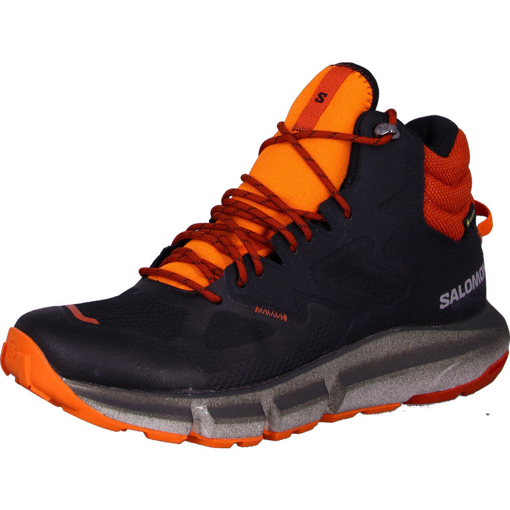 Schuhe PREDICT HIKE MID GTX Black/B