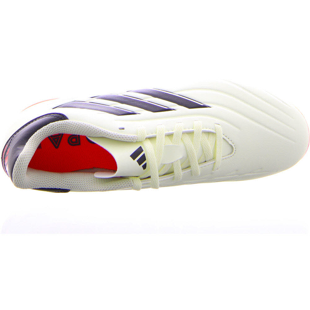 COPA PURE 2 CLUB FxG