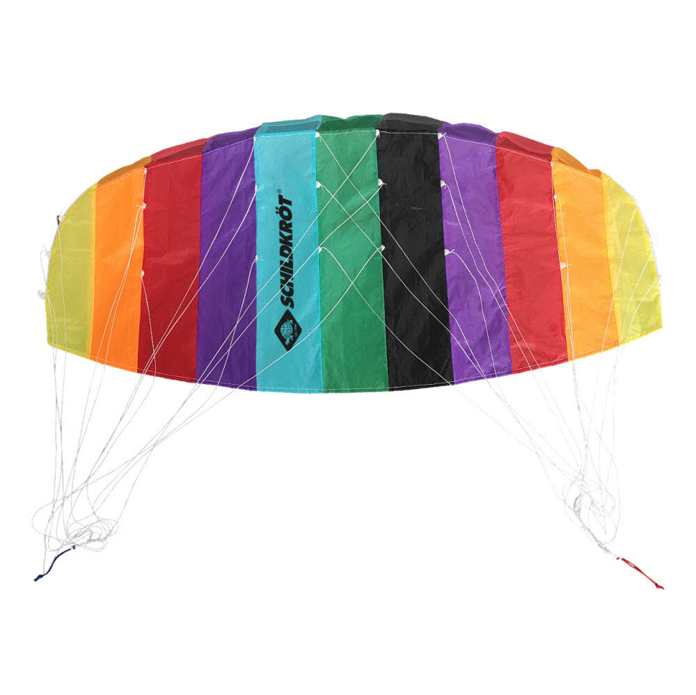 Dual Line SPORT KITE 1.3