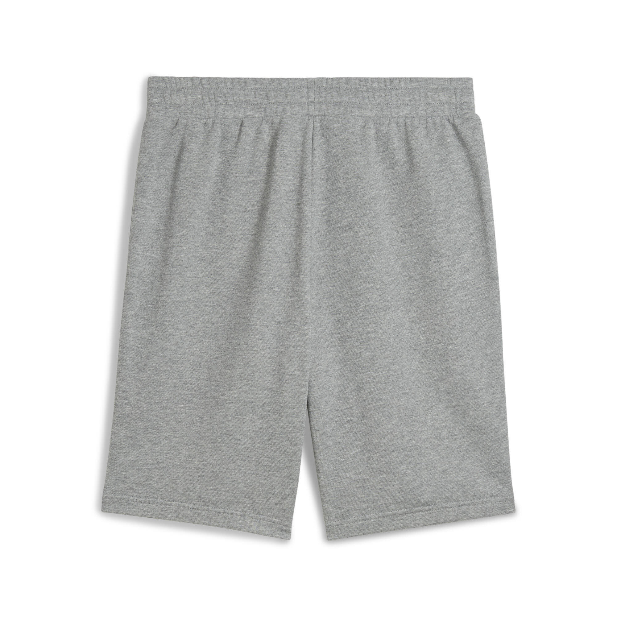 ESS No. 1 Logo Shorts 10