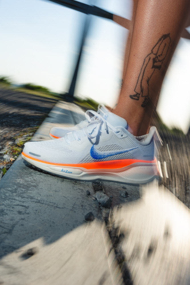 AIR ZOOM PEGASUS 41 FP