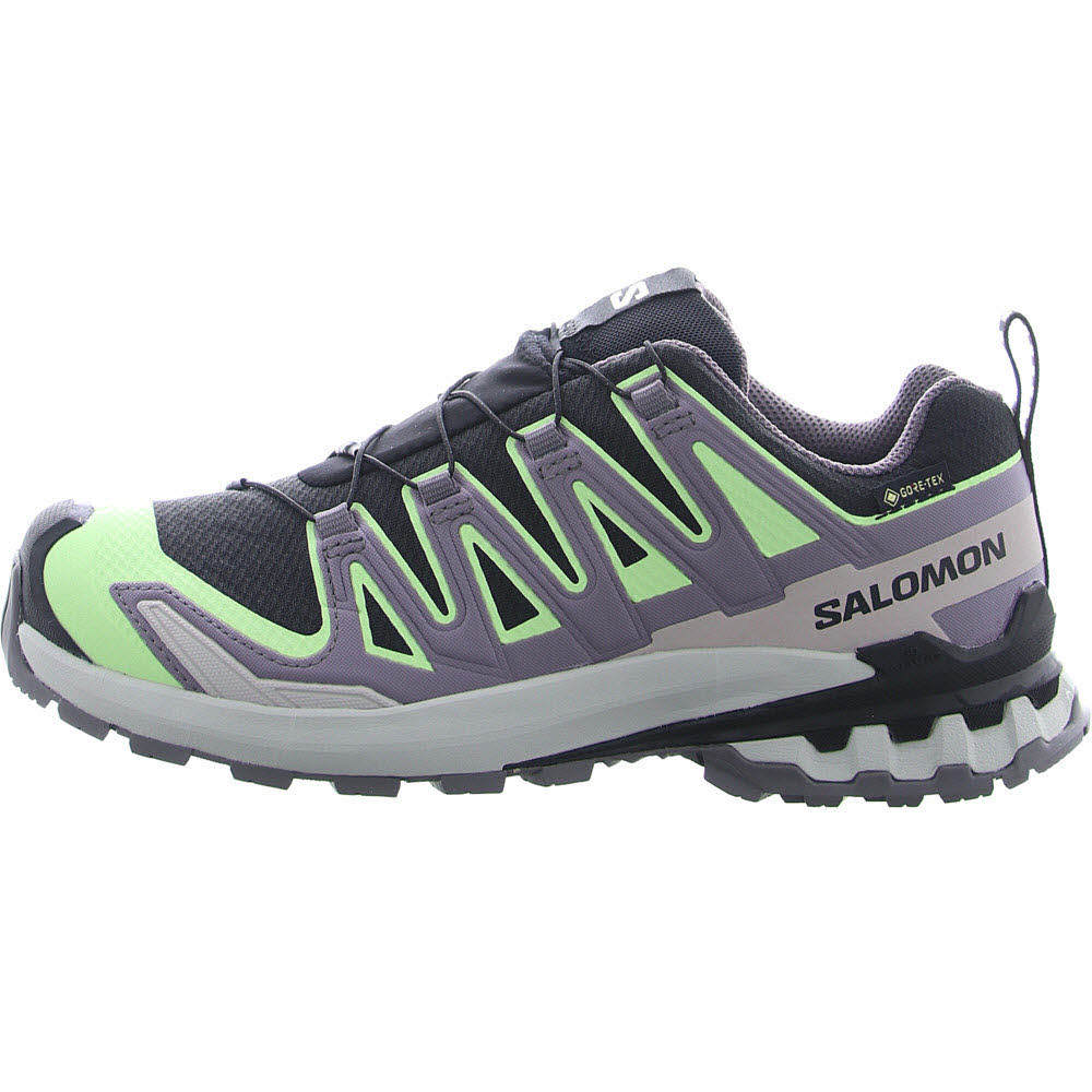 Schuhe XA PRO 3D V9 GTX W Black/Pat