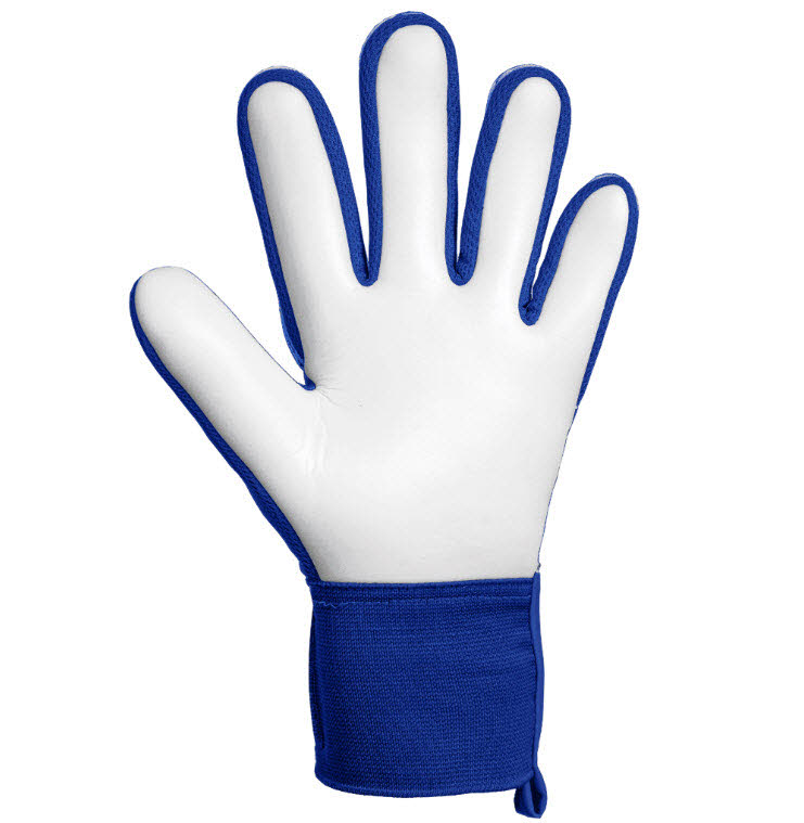 Attrakt Starter Solid