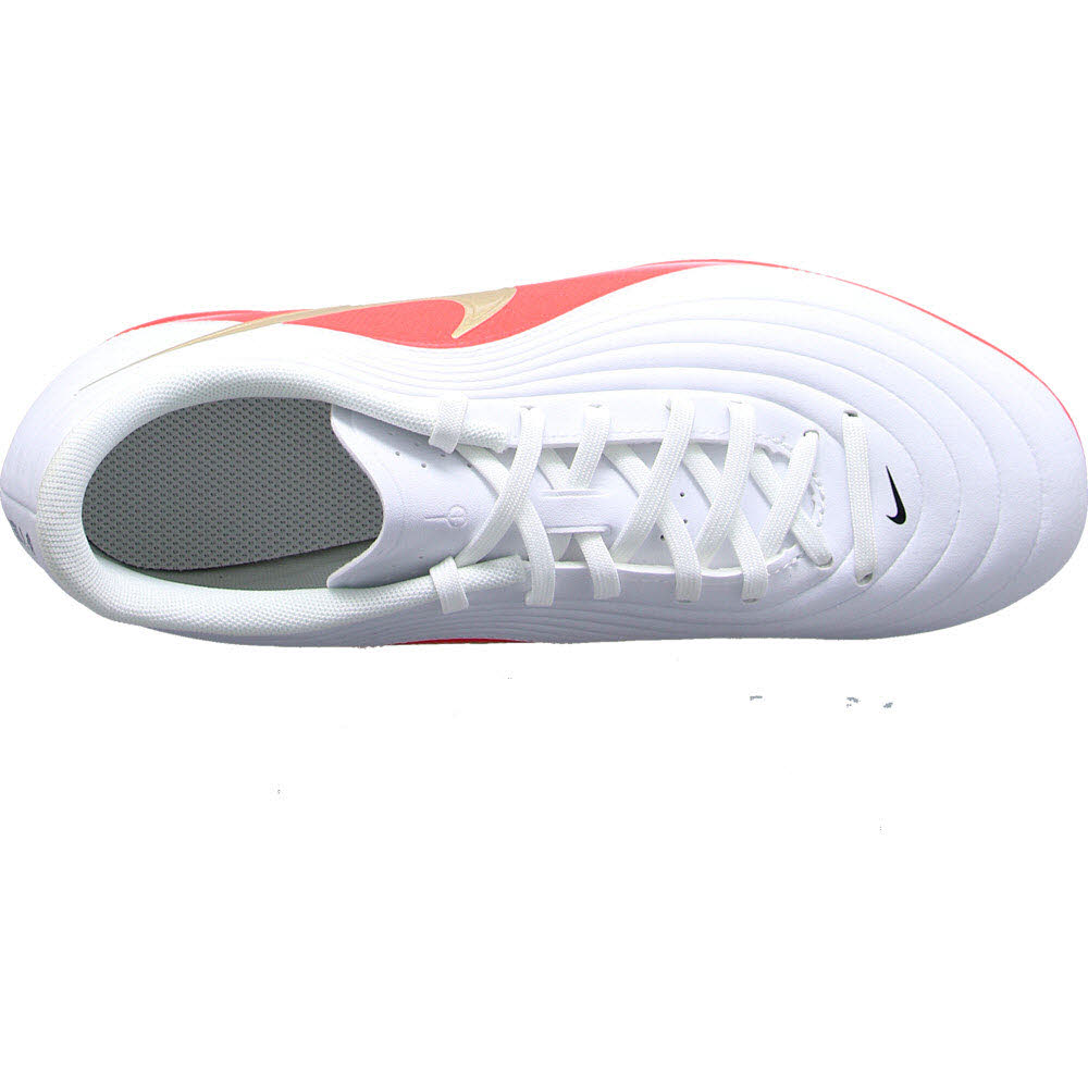 TIEMPO MAESTRO CLUB FG/MG