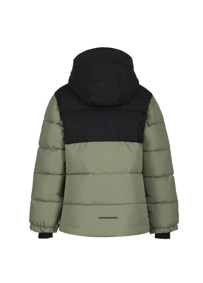 Icepeak Louin Jr.
