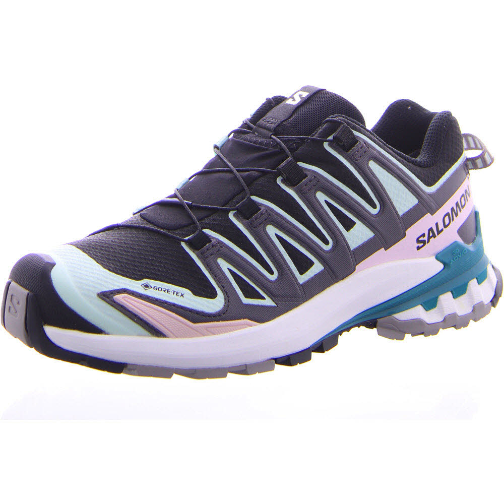 Schuhe XA PRO 3D V9 GTX W Blac