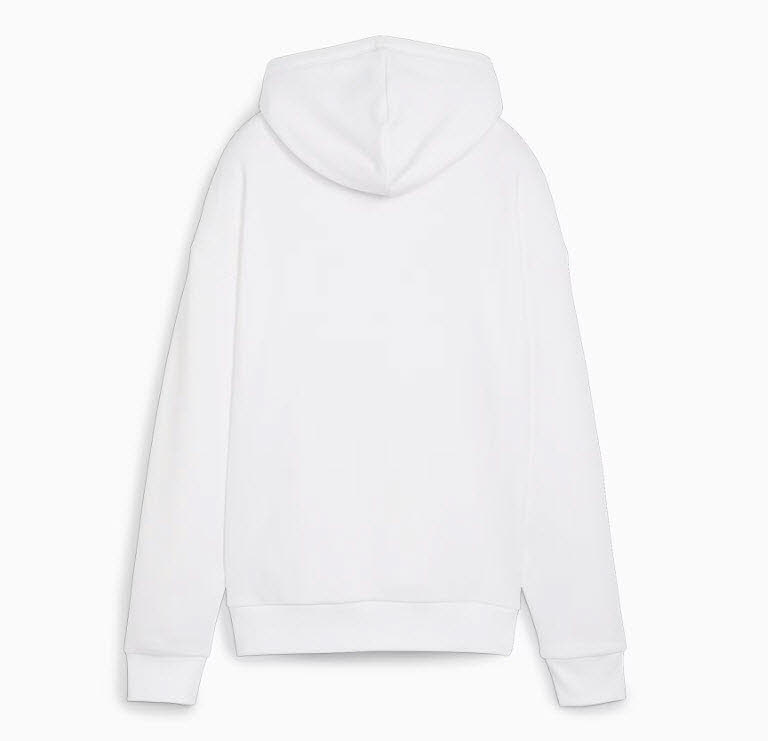 ESS   Script Hoodie TR