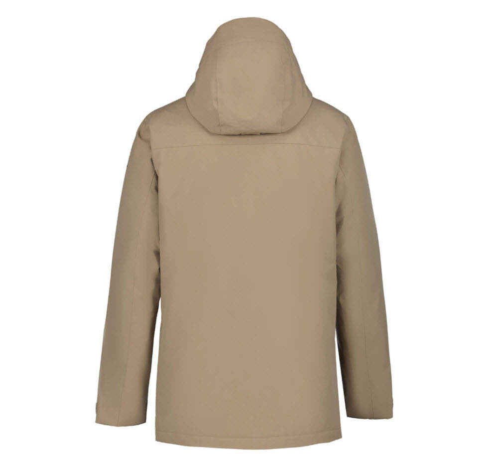 ICEPEAK ALSTON