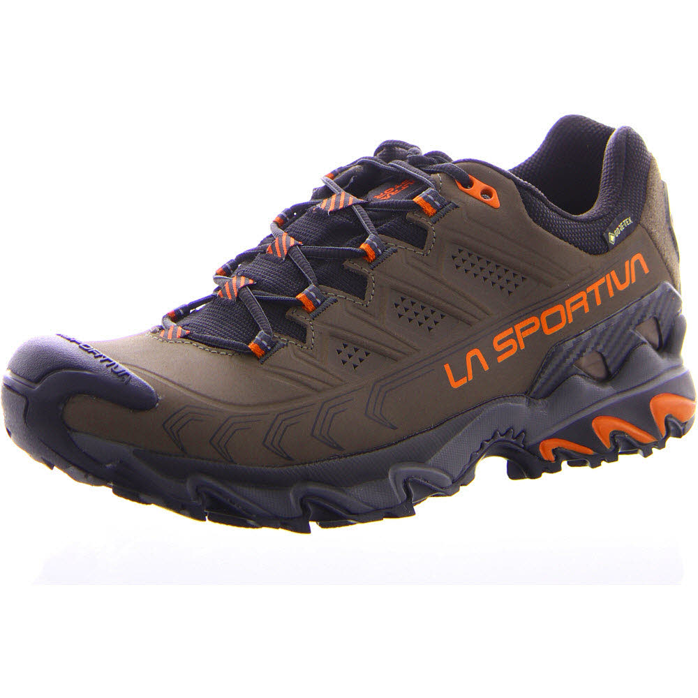 Ultra Raptor II Leather GTX