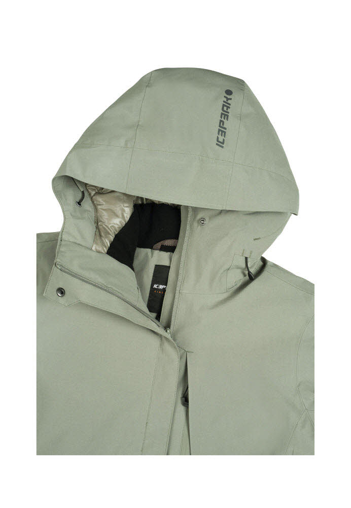 ICEPEAK BAGHERIA