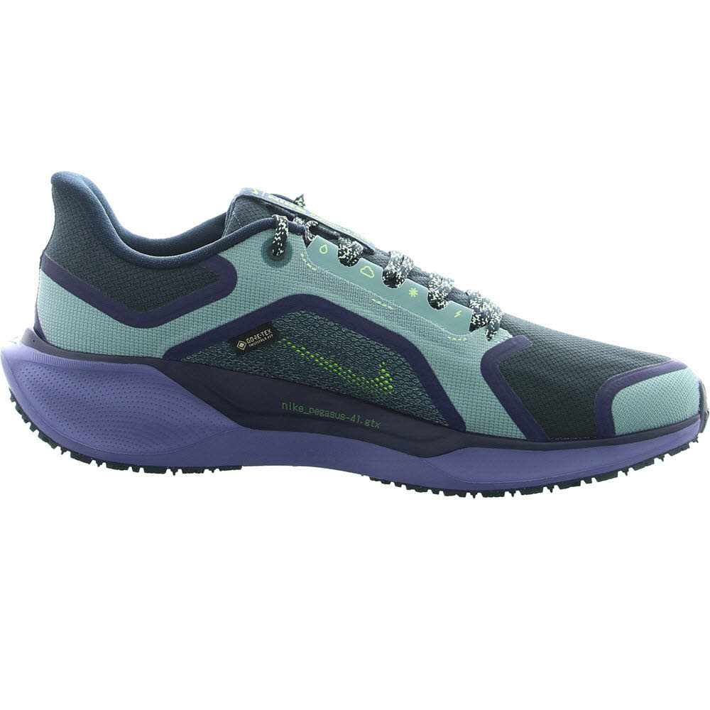 Nike Pegasus 41 GORE-TEX Men"s