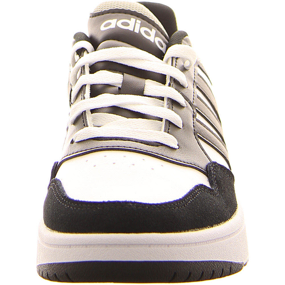 HOOPS 3.0