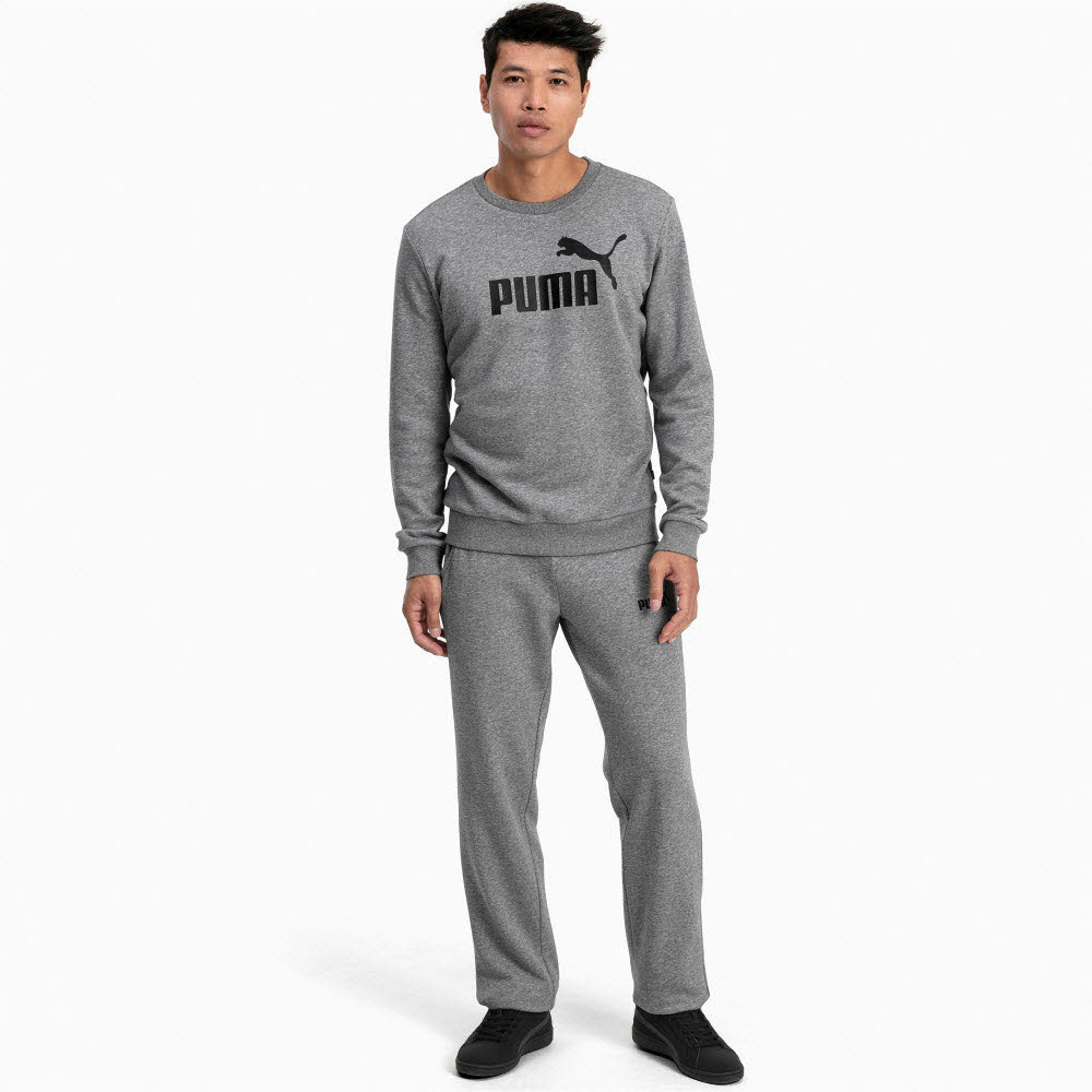 ESS Logo Crew Sweat TR big