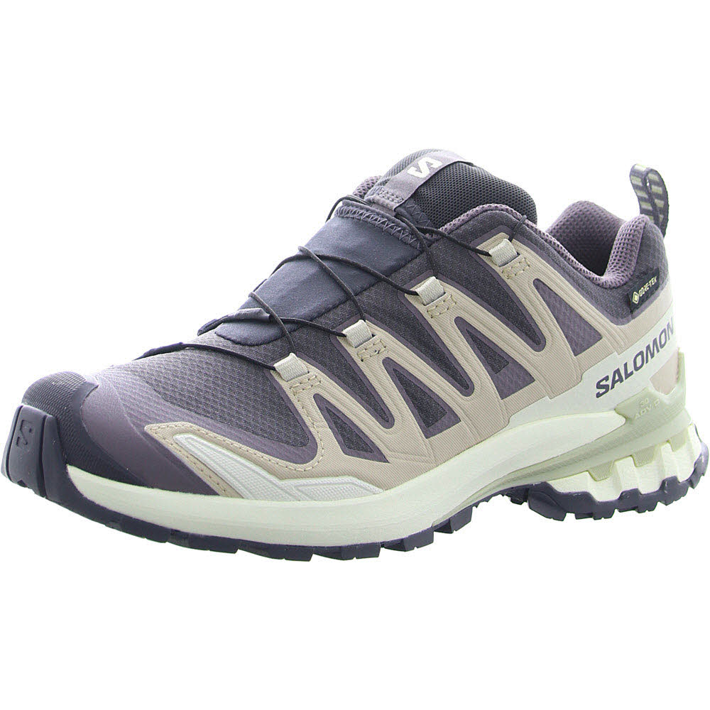 Schuhe XA PRO 3D V9 GTX W 9 Iron/Ox