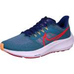 NIKE AIR ZOOM PEGASUS 39