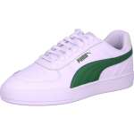 Puma Caven