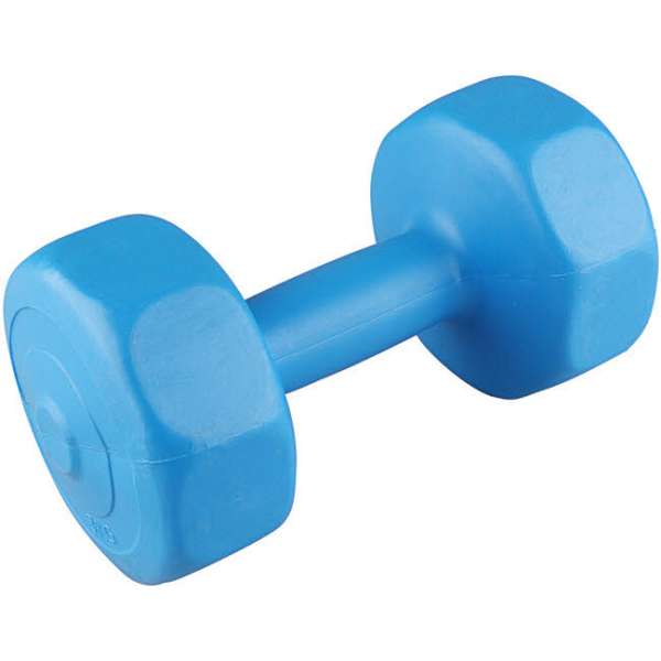 NOS Gymnastikhantel 2x3,0kg