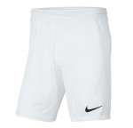 NIKE DRI-FIT PARK III BIG KIDS